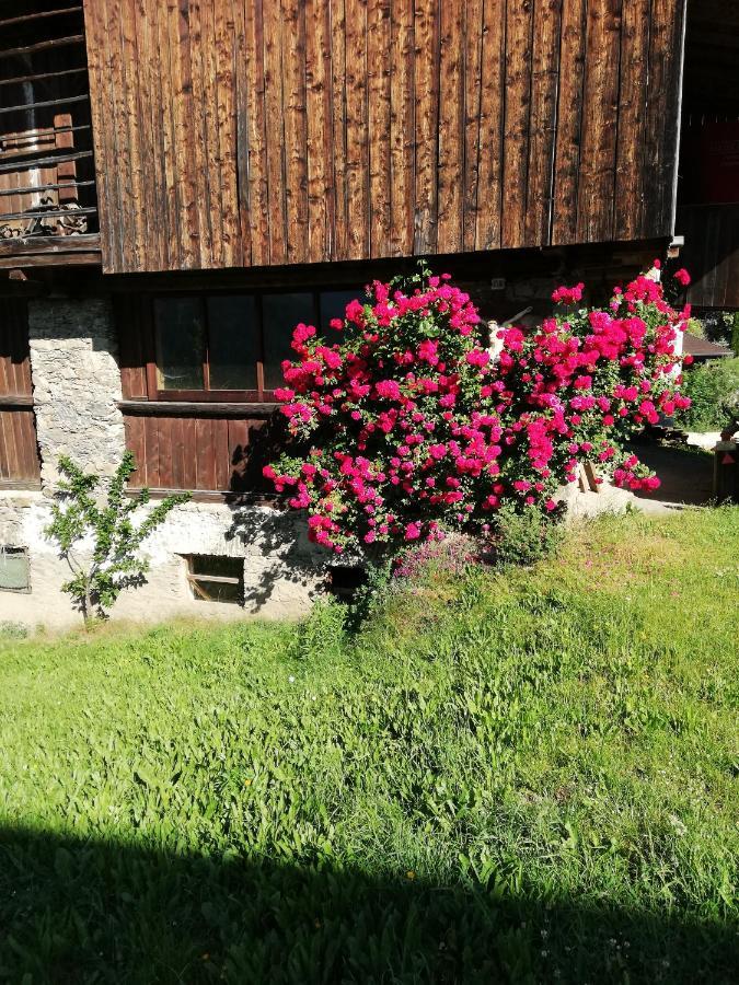 Ledererhof